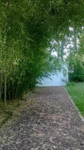 10665866_10152661201902808_7864844022151395846_n