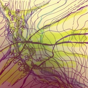 10727373_522661051202661_1007909818_n