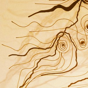 10727463_733891943314074_1160472003_n