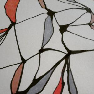 11873427_10153494521807808_4423632009121786165_n